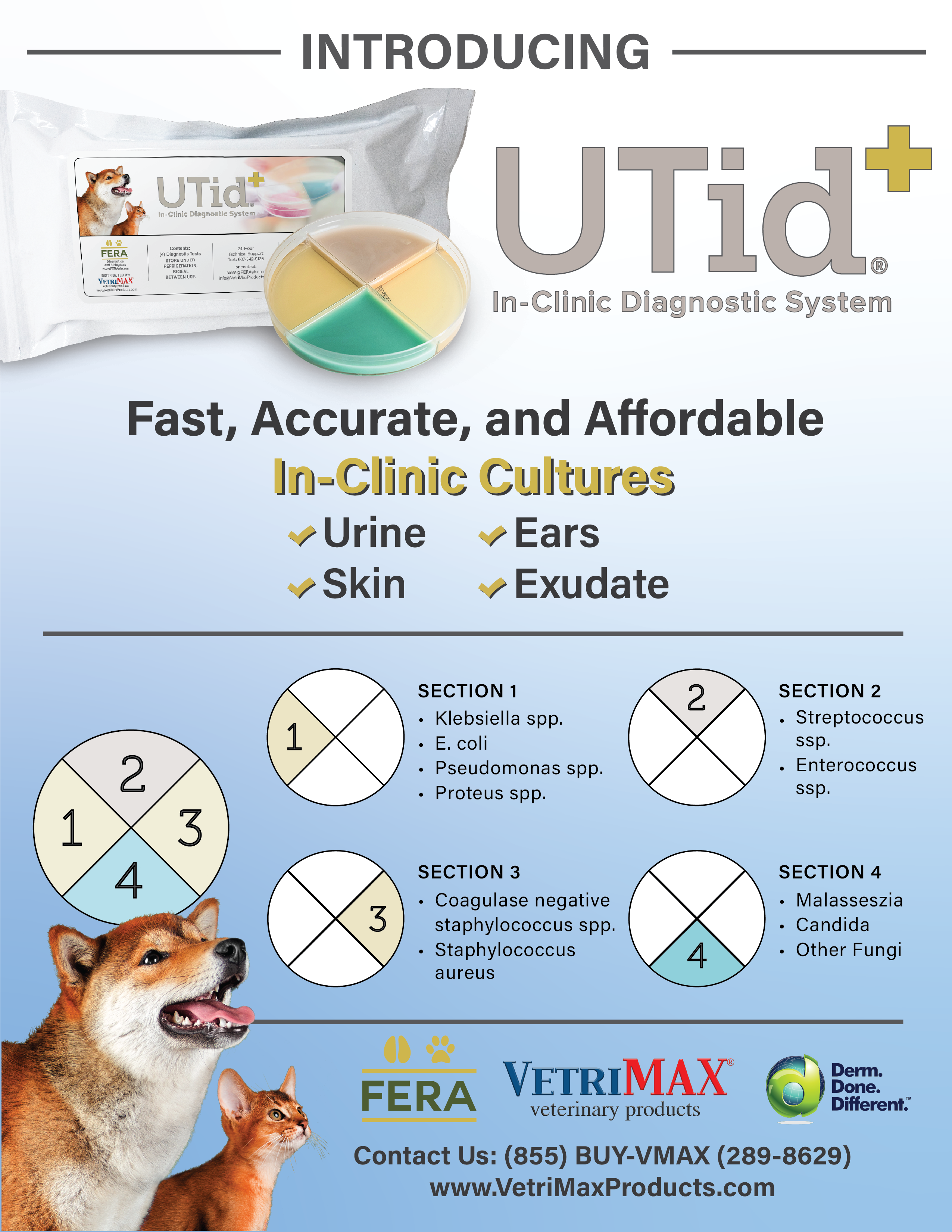 UTid+® In-Clinic Diagnostic System (4CT/PACK)
